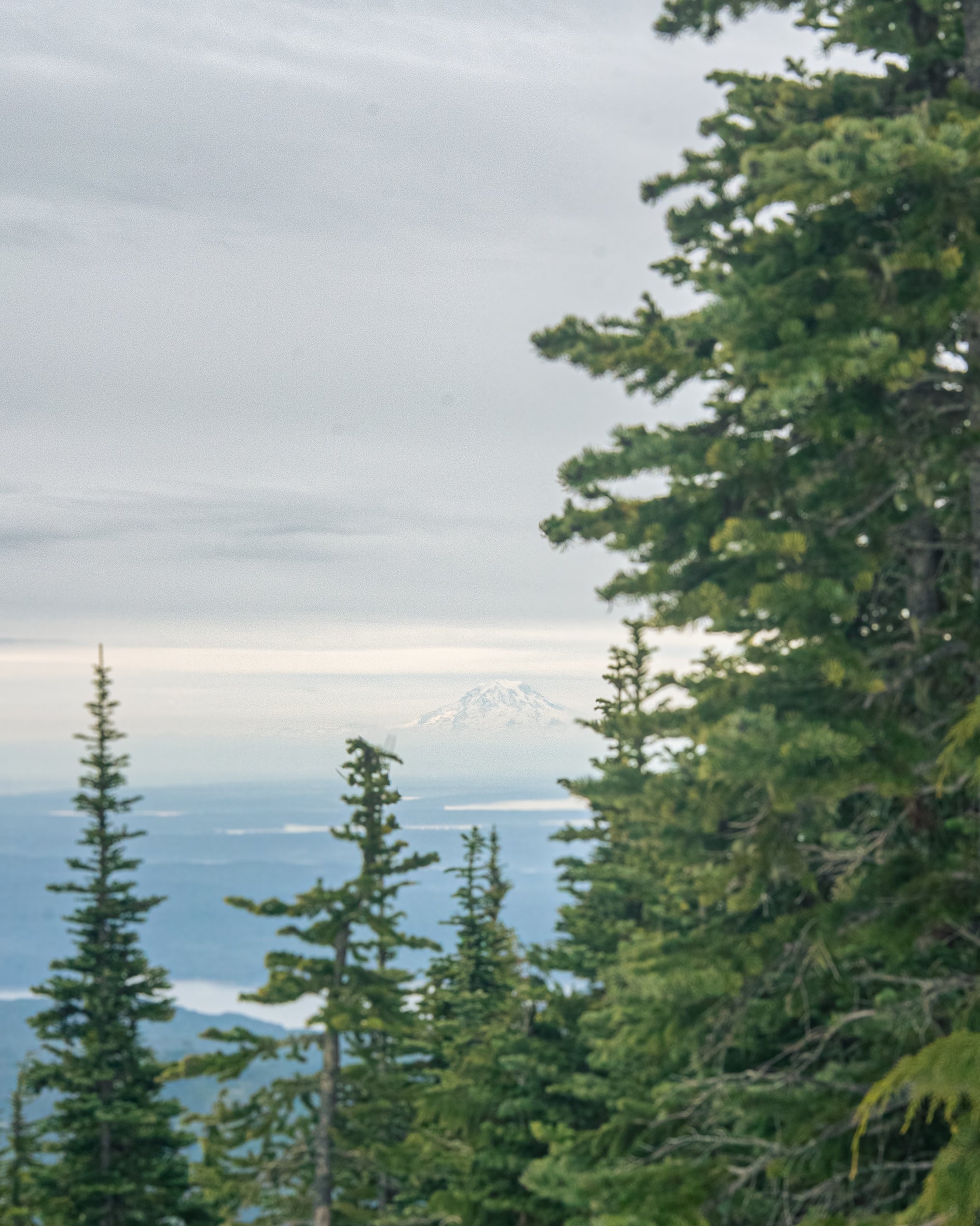 What it’s all about: hiking up the snowy slopes of Mt Elinor, and seeing the stunning Mt Rainier in the distance